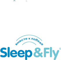 sleep fly.png